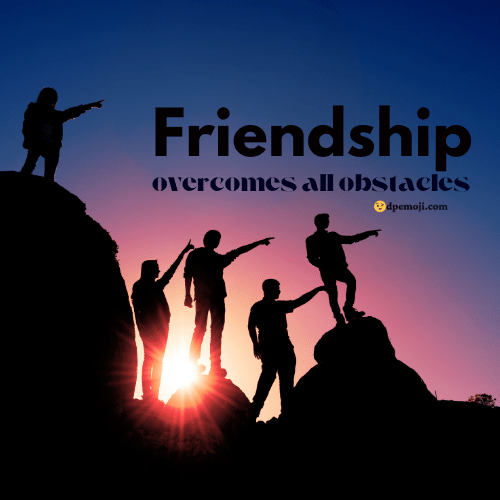 friends group dp