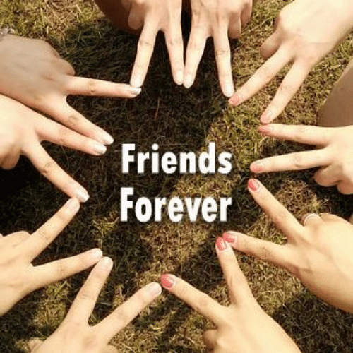 friendship school friends group dp