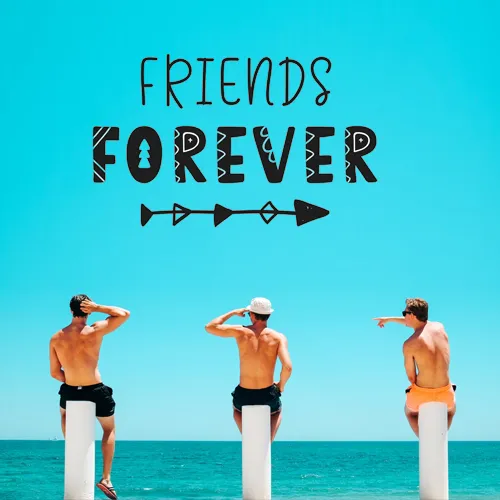 friends group dp