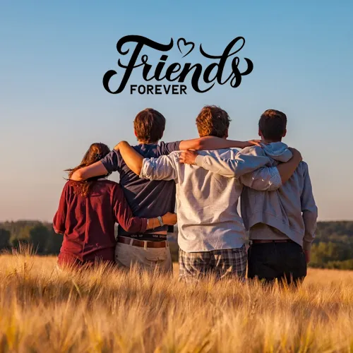 friends group dp