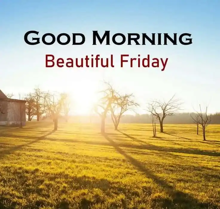 good morning friday