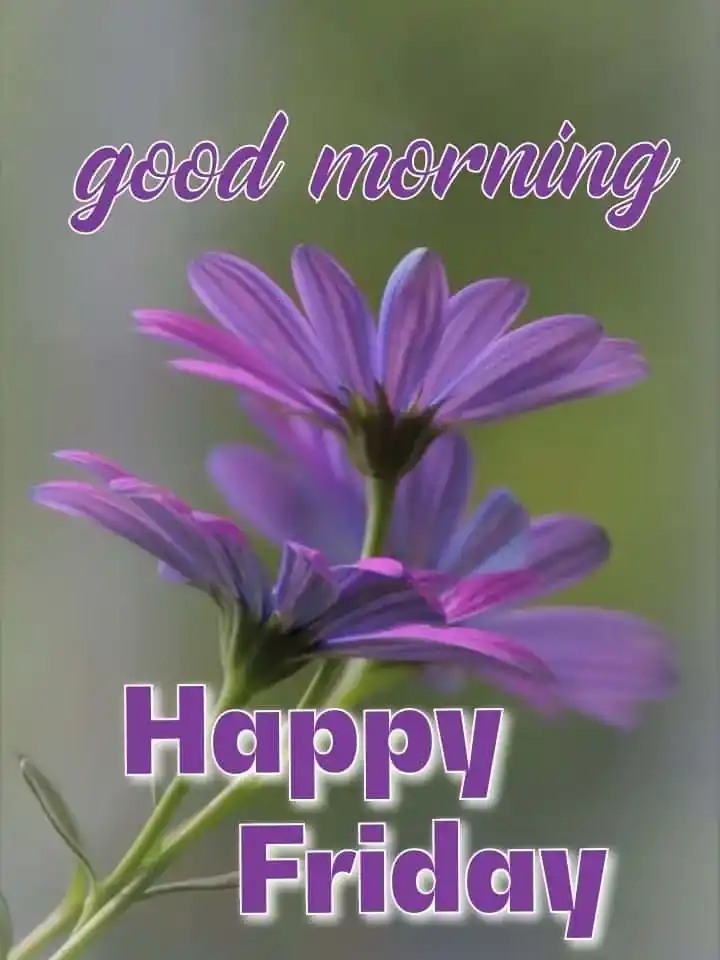 good morning friday