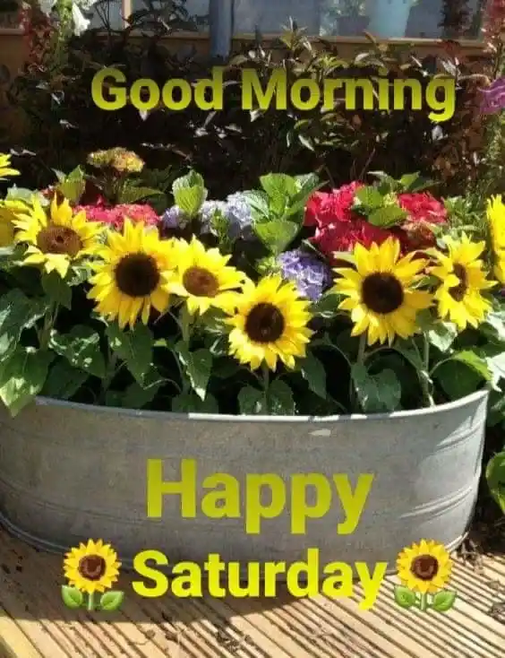 good morning saturday images