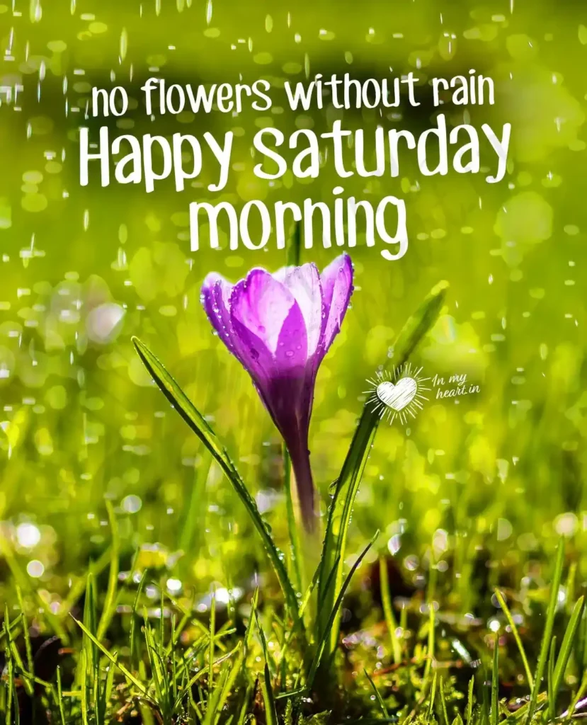 good morning saturday images