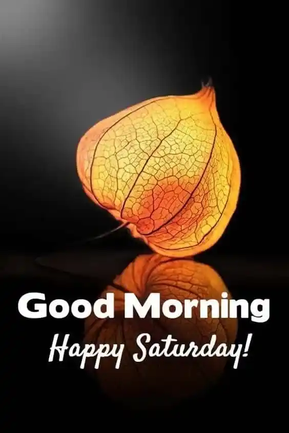 good morning saturday images