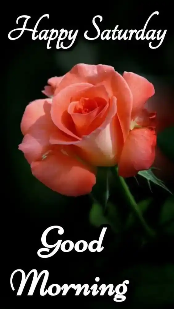 good morning saturday images