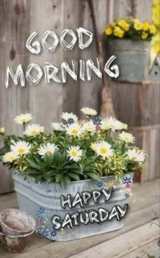 good morning saturday images
