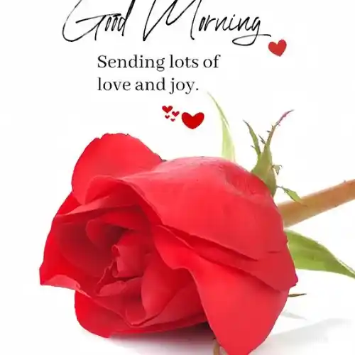 Good Morning Tuesday