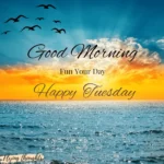 Good Morning Tuesday