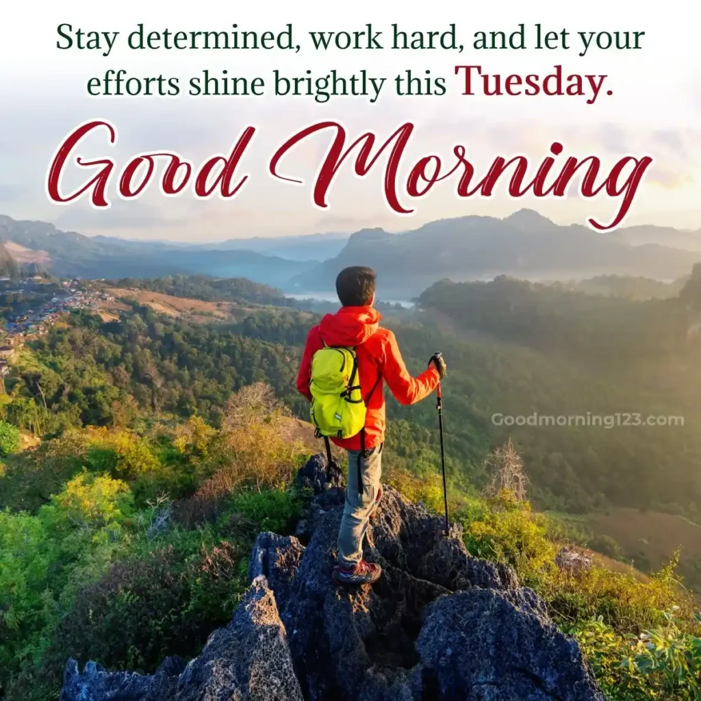 Good Morning Tuesday