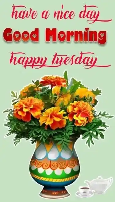 Good Morning Tuesday