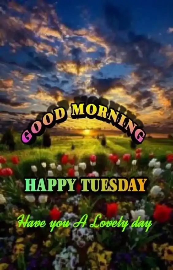 Good Morning Tuesday