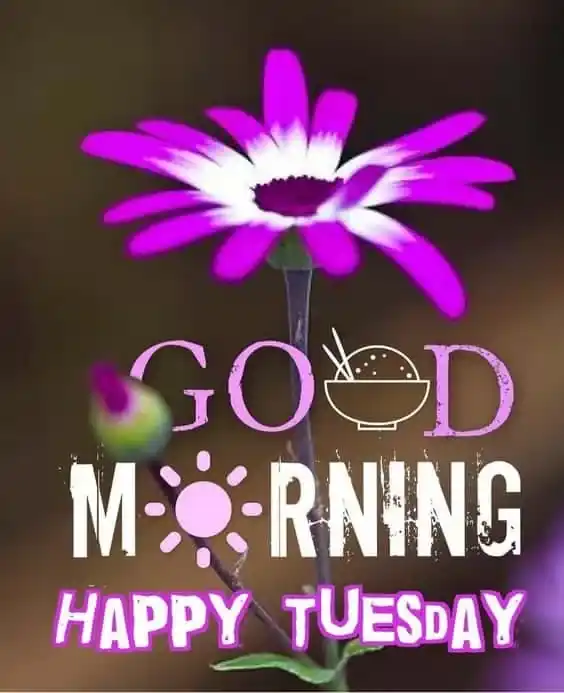 Good Morning Tuesday
