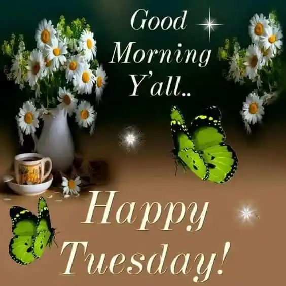 Good Morning Tuesday