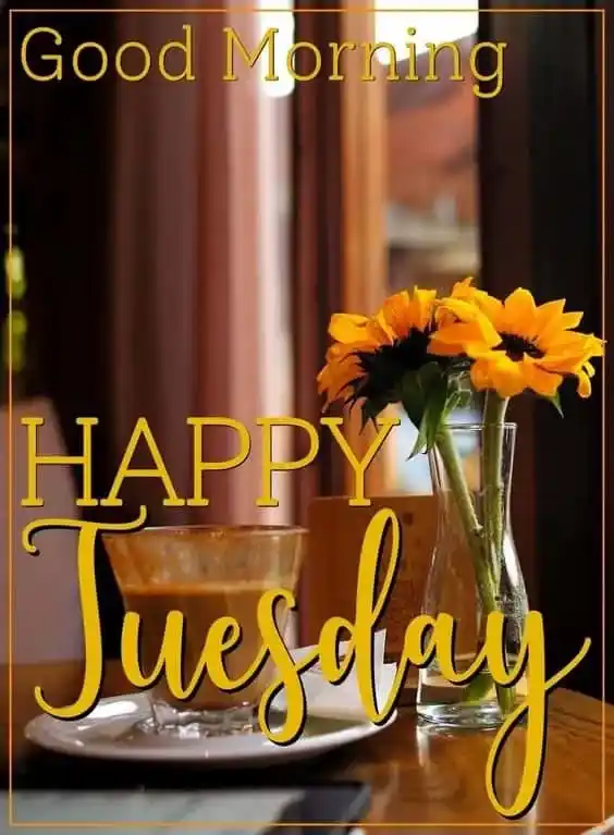Good Morning Tuesday