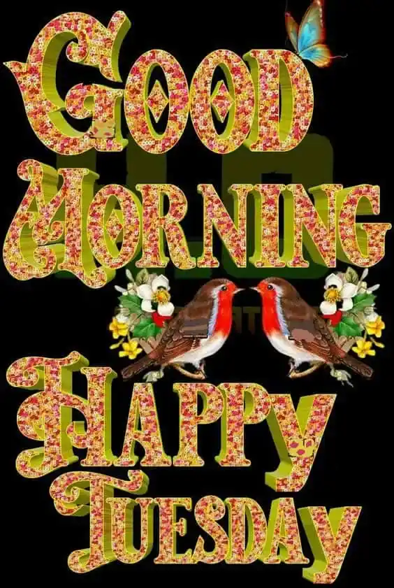 Good Morning Tuesday