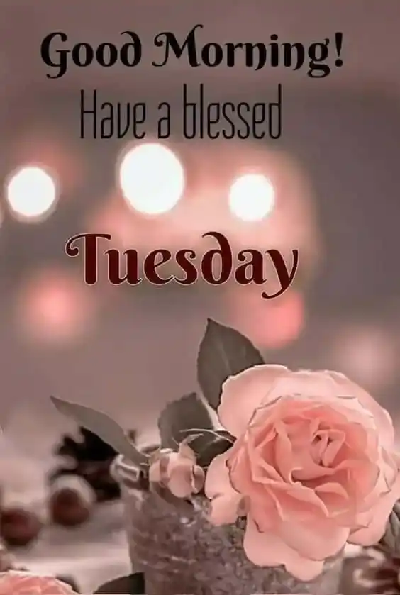 Good Morning Tuesday