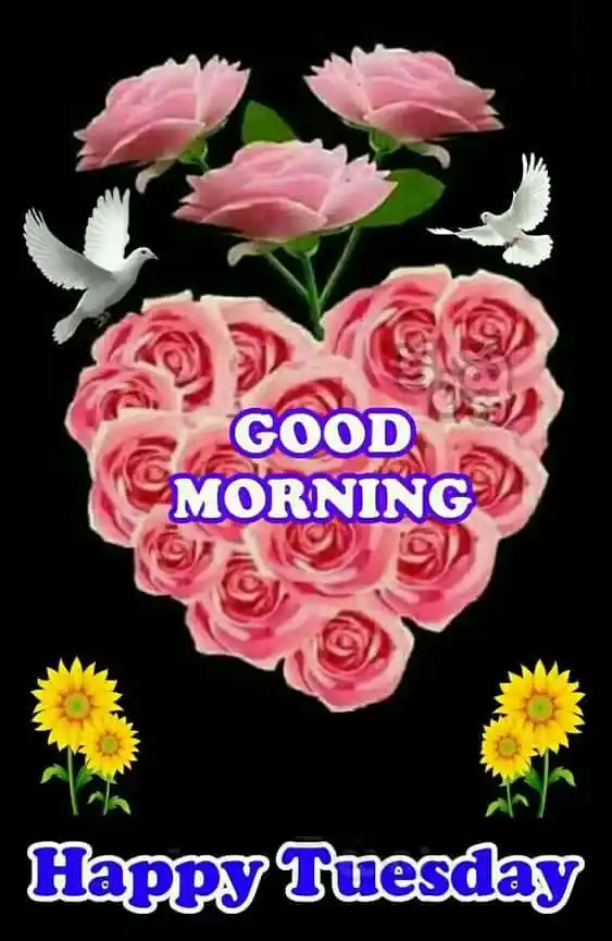 Good Morning Tuesday