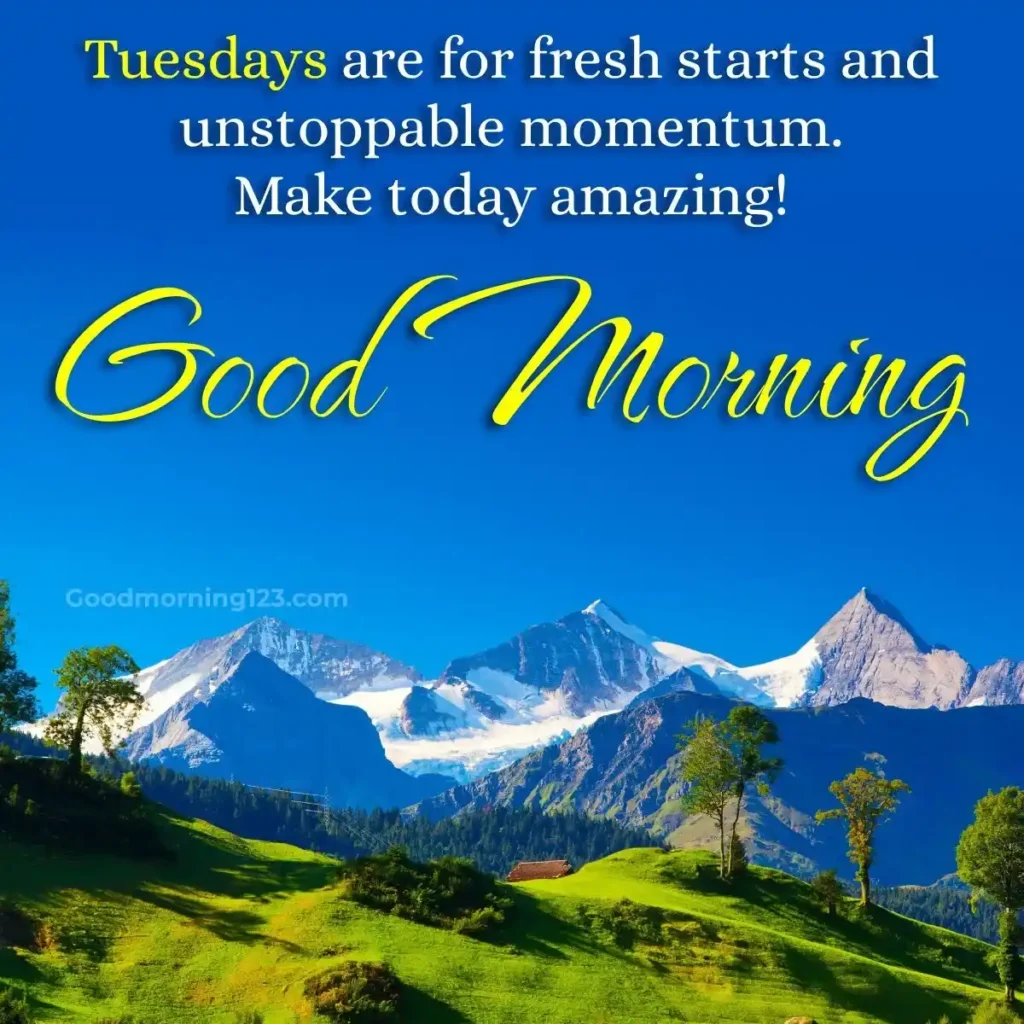 Good Morning Tuesday