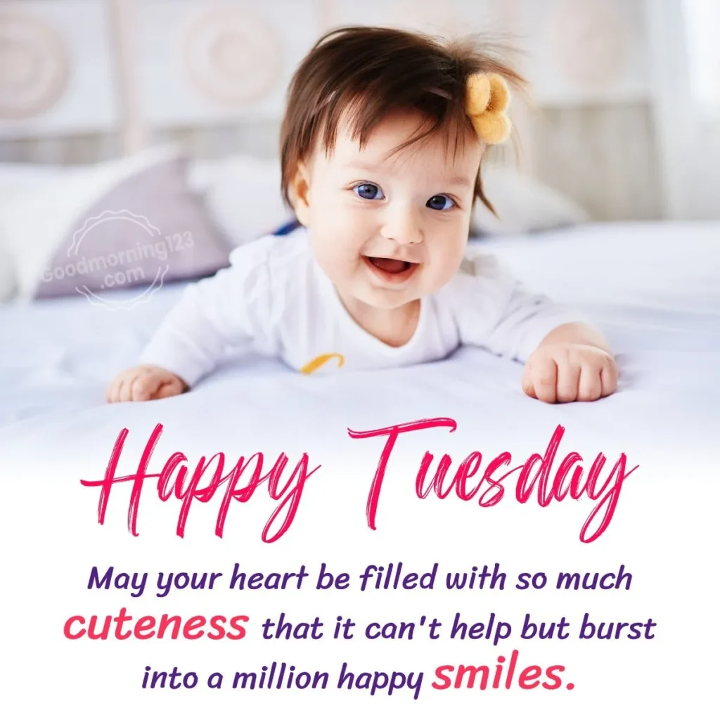 Good Morning Tuesday