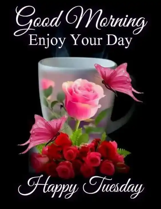 good morning tuesday images
