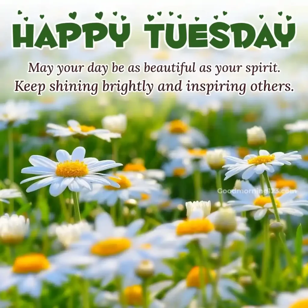 good morning happy tuesday