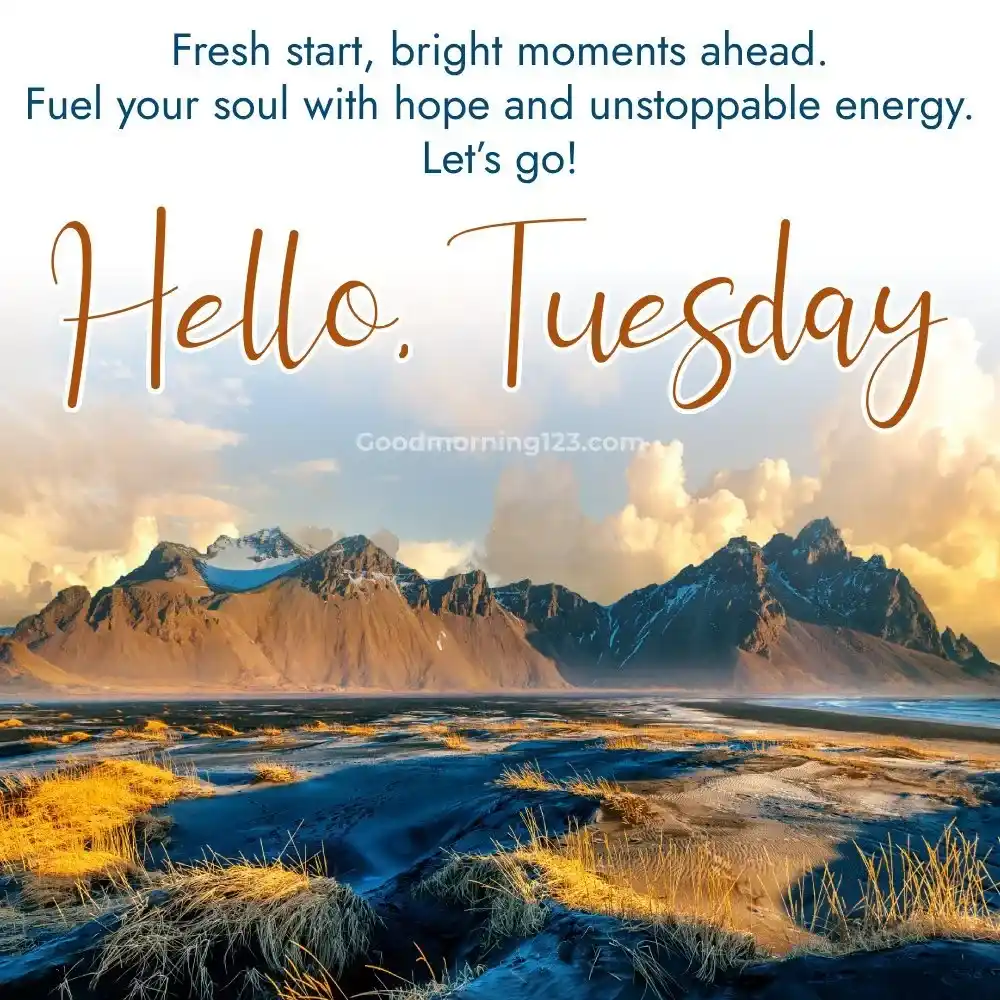 Good Morning Tuesday