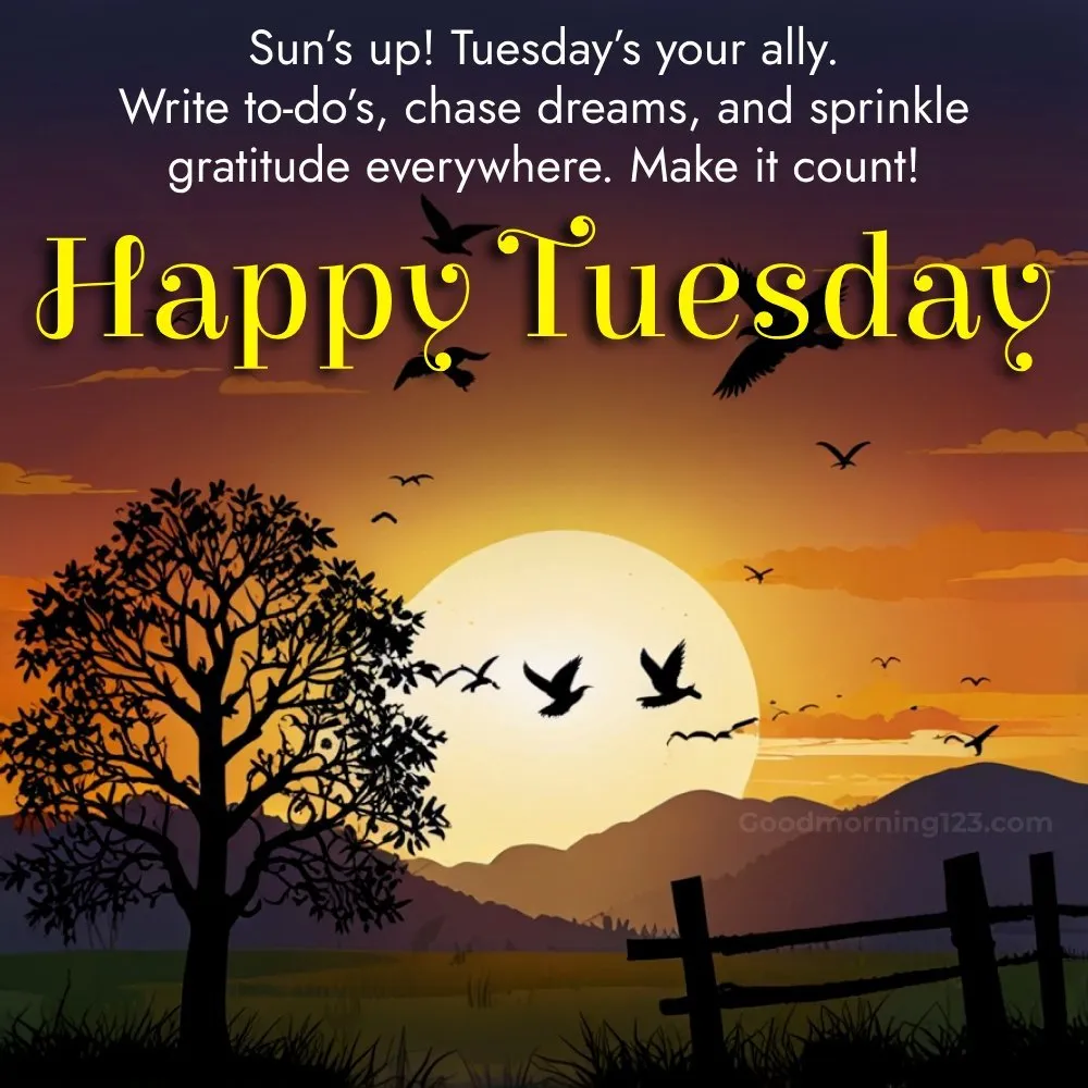 Good Morning Tuesday