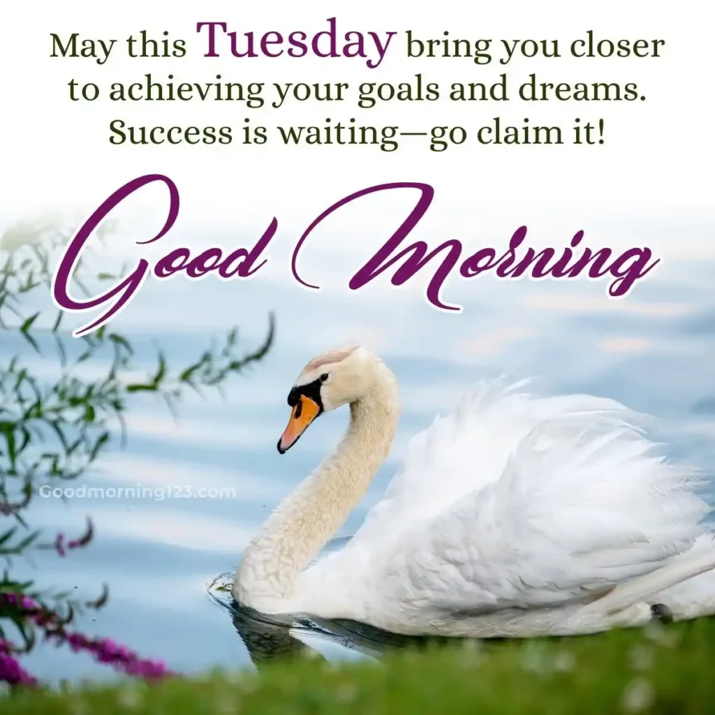 Good Morning Tuesday