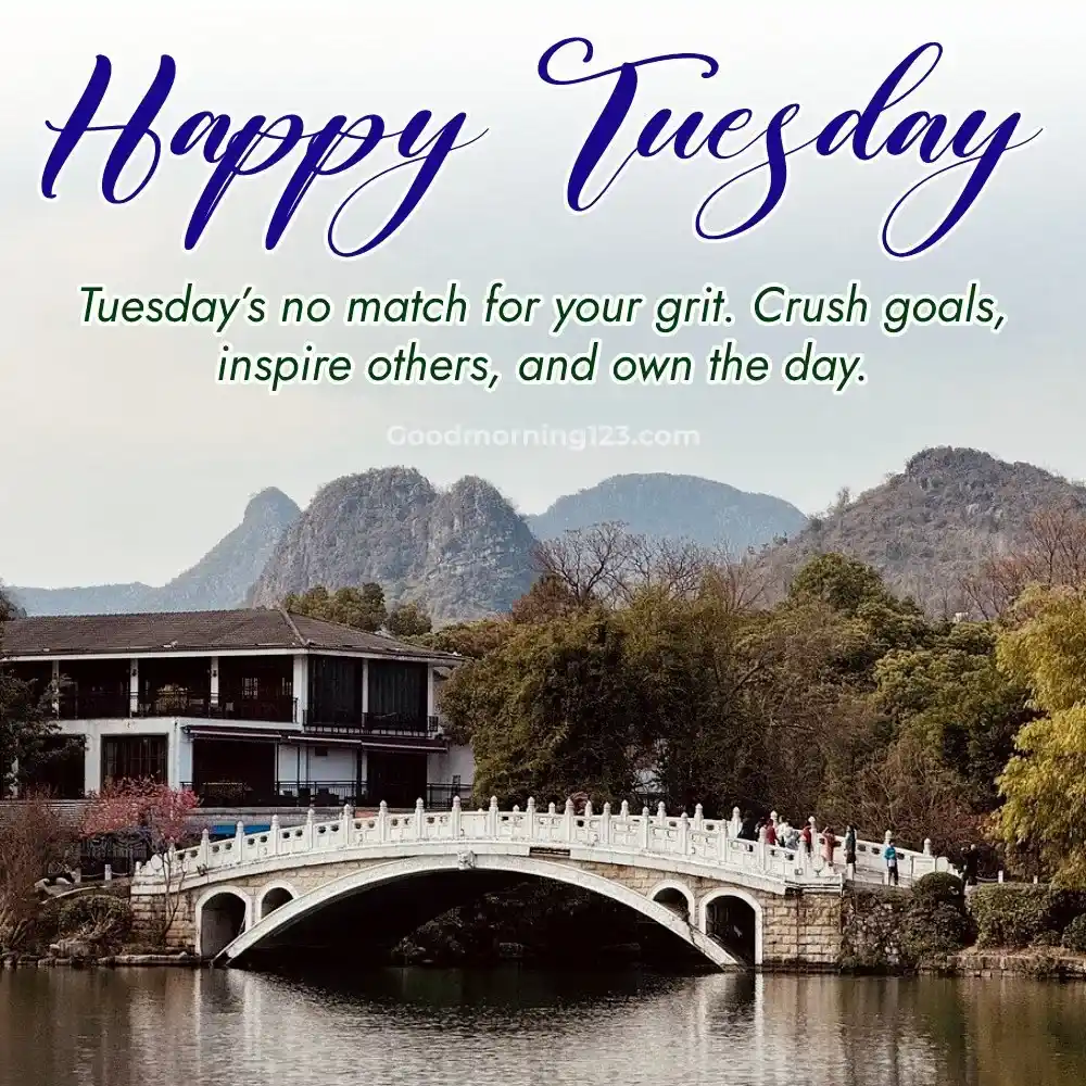 Good Morning Tuesday