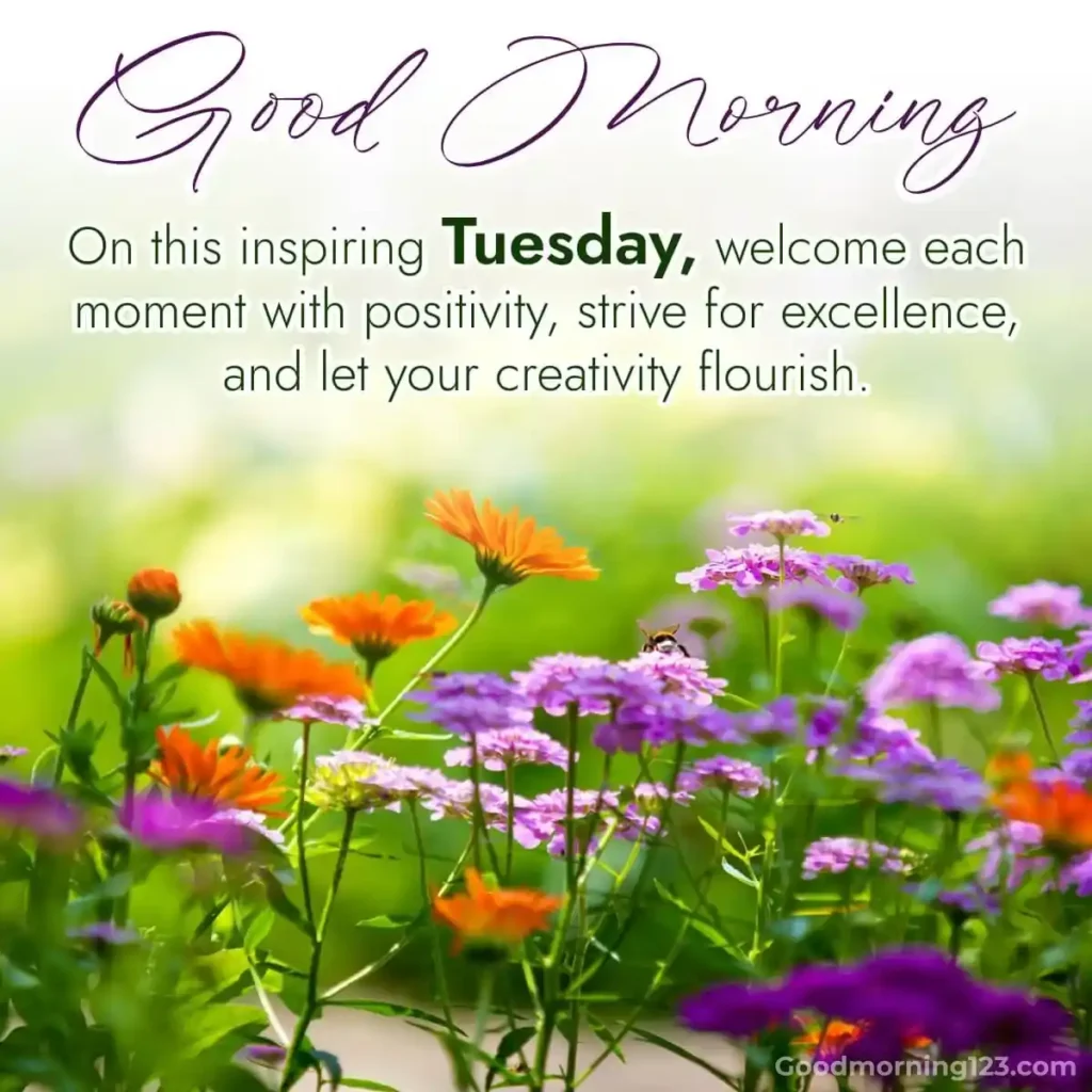 Good Morning Tuesday