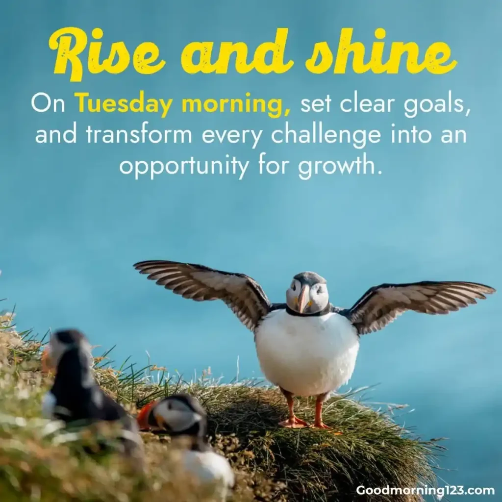 Good Morning Tuesday