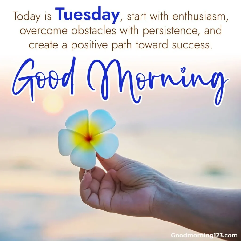 Good Morning Tuesday