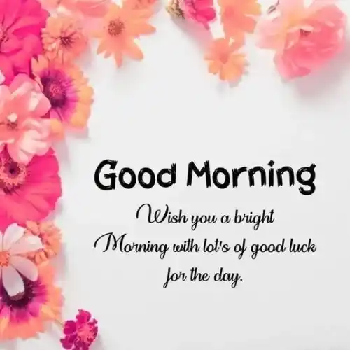 Good Morning Tuesday