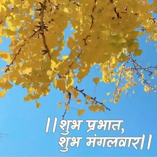 Good Morning Tuesday