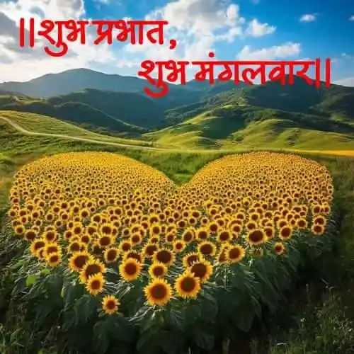 Good Morning Tuesday