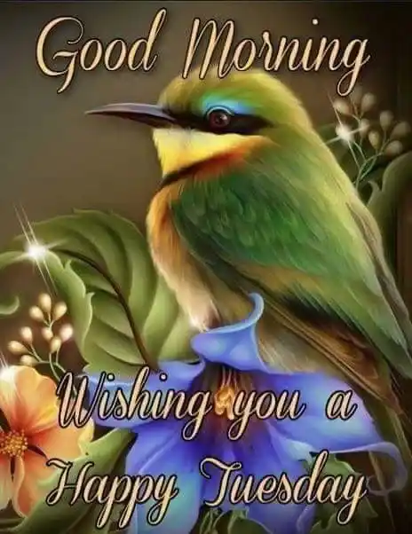 Good Morning Tuesday