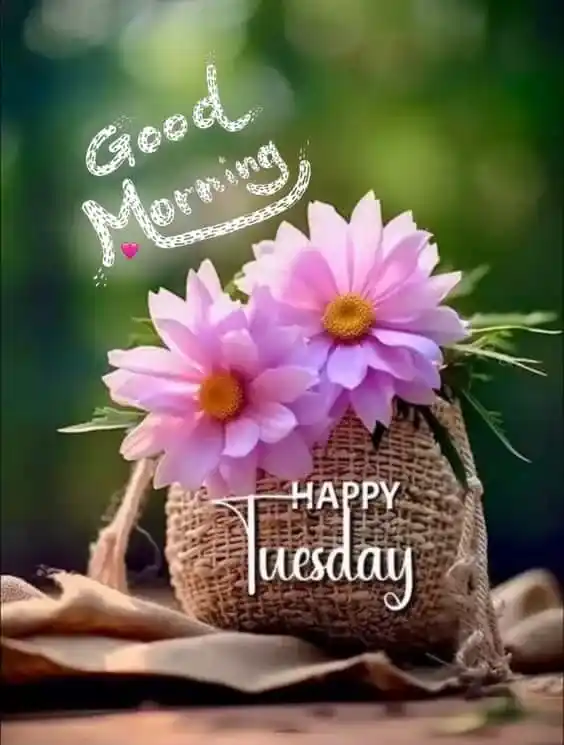 Good Morning Tuesday