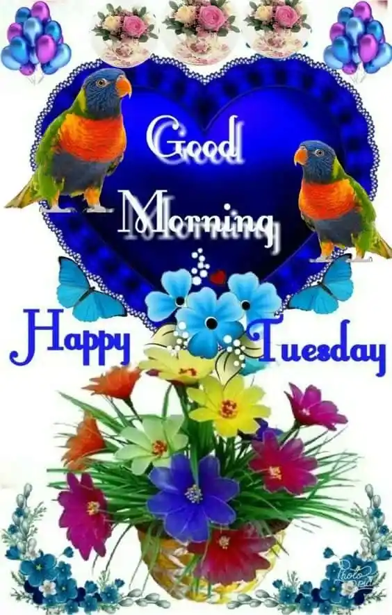 Good Morning Tuesday