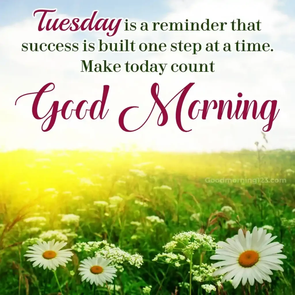 Good Morning Tuesday
