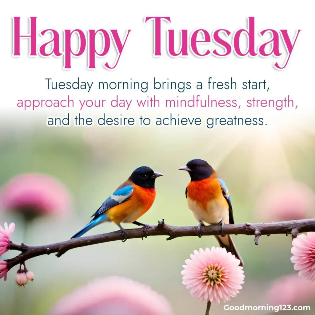 Good Morning Tuesday