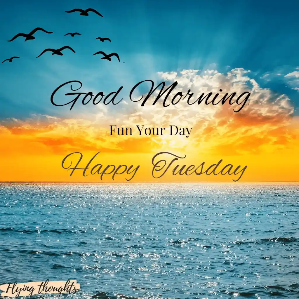 100+ beautiful Good Morning Tuesday wishes 2025, image size:1024x1024