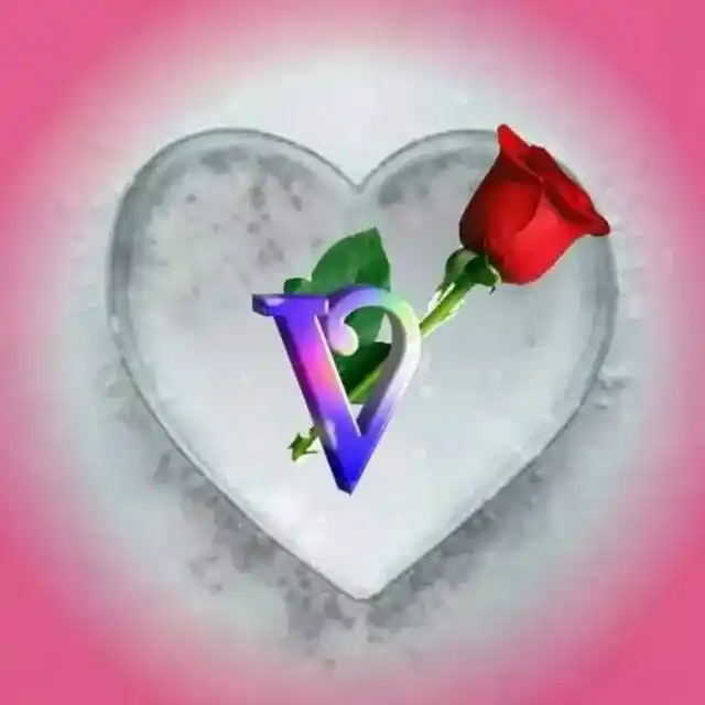 v name dp